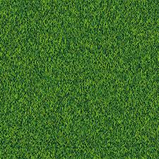 Asset for minecraft