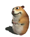 Asset for chat