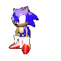 Asset for sonic